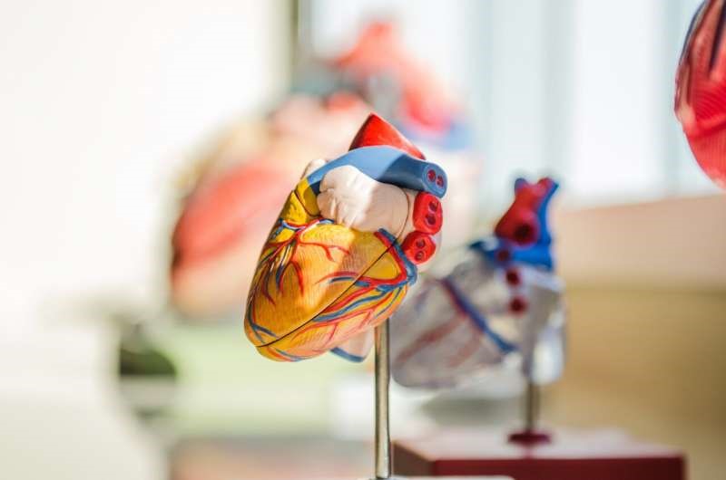 Phát hiện biến thể di truyền hiếm gặp - nguyên nhân gây đột tử do tim